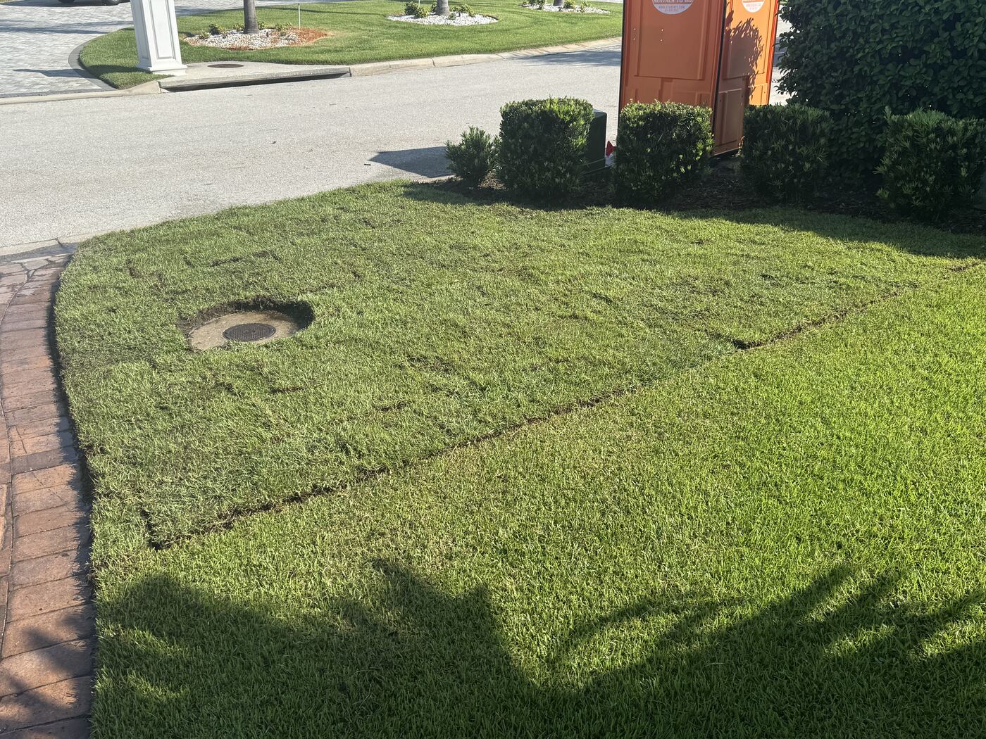 After: freshly installed, lush green sod on the same Lakeland property