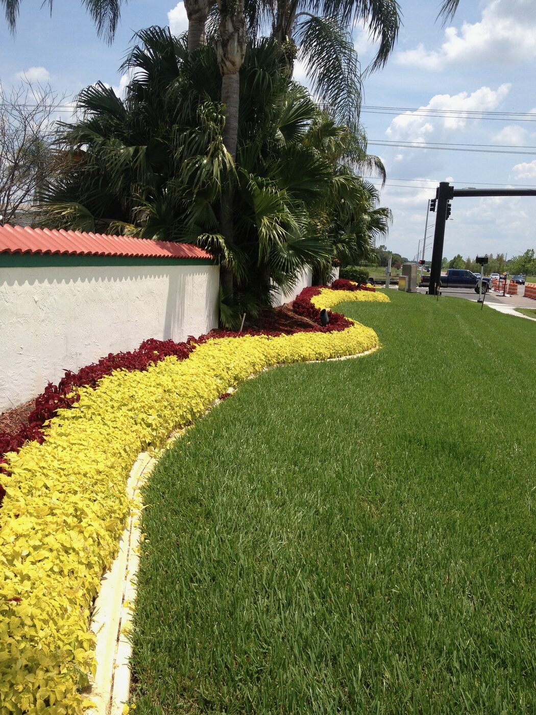 Curved bed of yellow and red mass plantings along a commercial property wall in Lakeland, FL