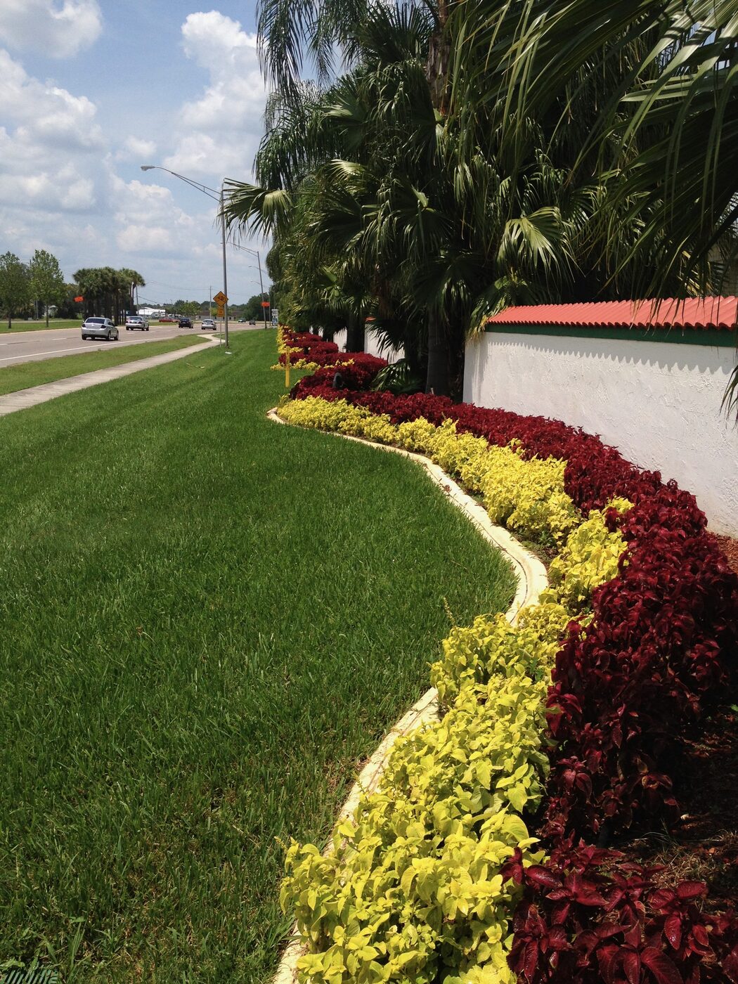 Sweeping red and yellow annual planting bed along a roadside property in Lakeland, FL